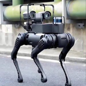 Yushu Robot Dog G02eduB1