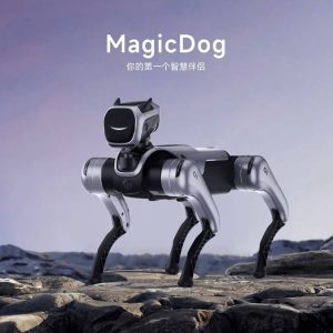 MagicDog
